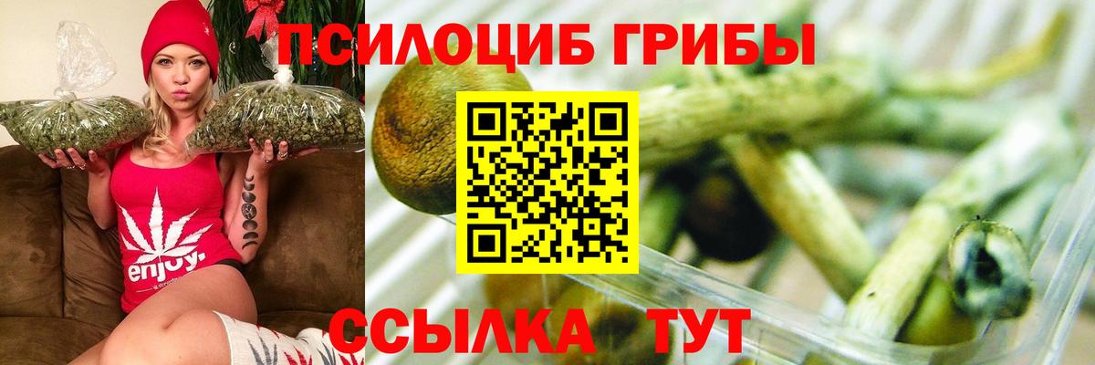 Зима  Псилоцибиновые грибы GOLDEN TEACHER  Вход с VPN 