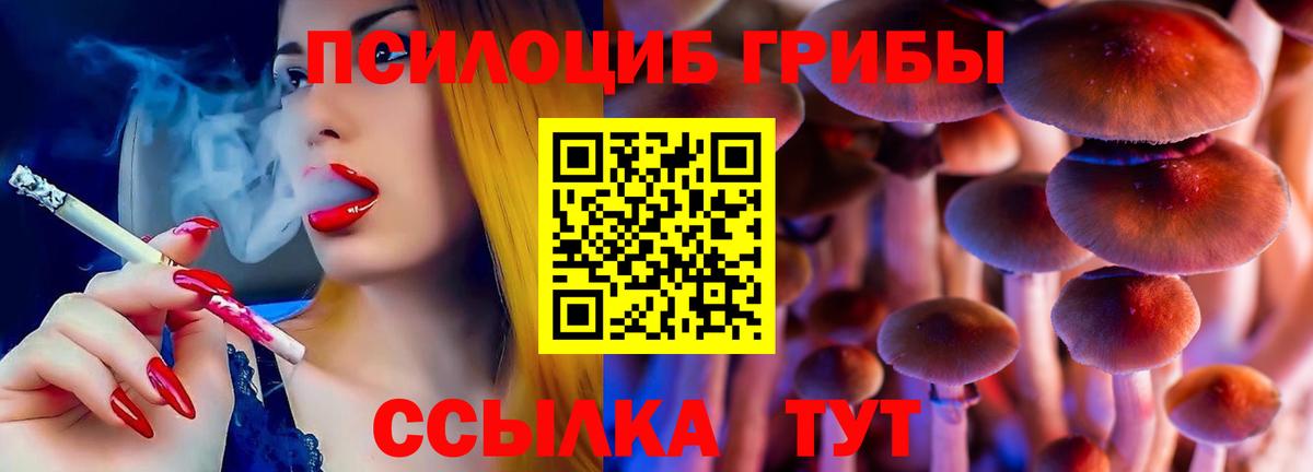 Галлюциногенные грибы мицелий Зима